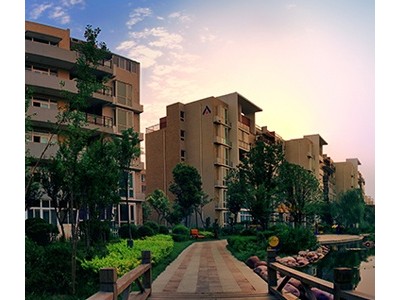 违章建筑管理