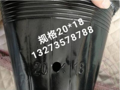 营养钵20x18
