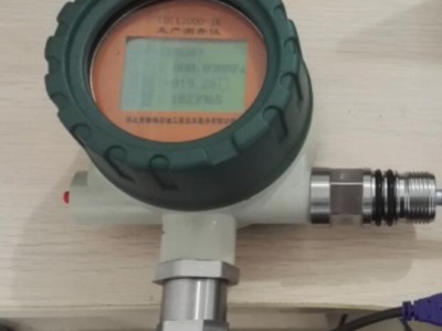TDXT2000井口注水调刨压力检测仪
