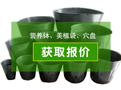 营养钵报价